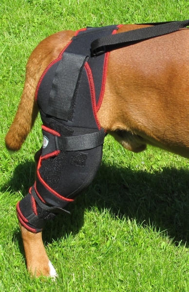 7535 TSM Kniebandage "Carthago"